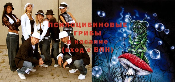сатива Аркадак