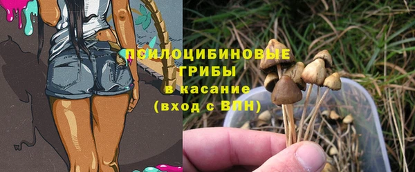 дурь Арсеньев