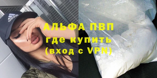 сатива Аркадак