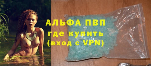 сатива Аркадак