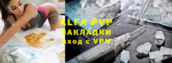 сатива Аркадак